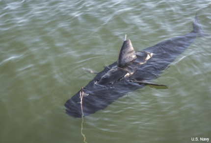 Navy GhostSwimmer UUV fish