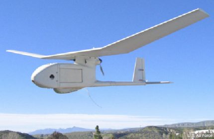 Raven small unmanned aircraft system
